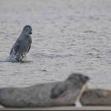 Апартаменты Situe En Centre Super Lumineux Дюнкерк