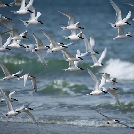 Situe En Centre Super Lumineux アパート *